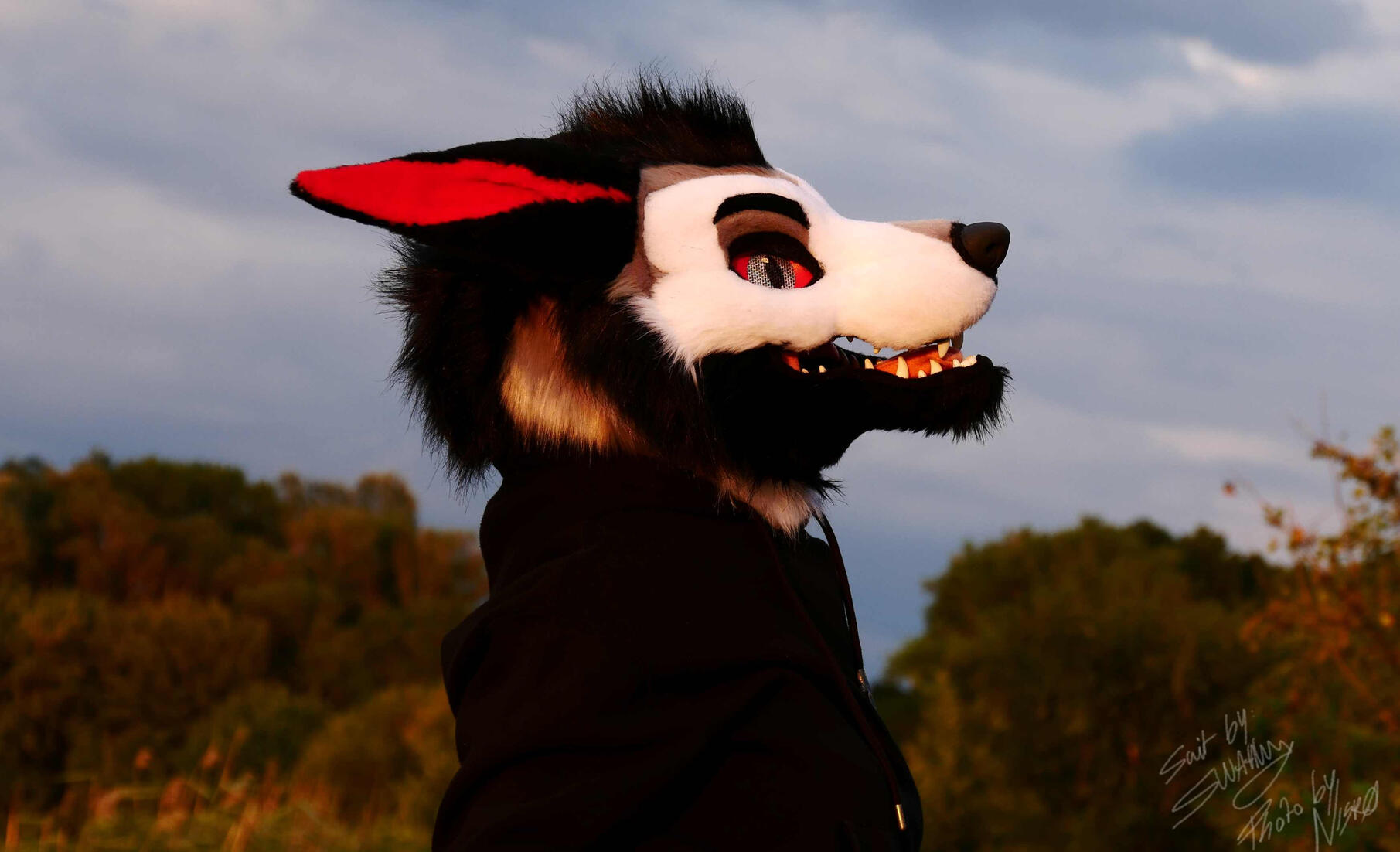 Premade - 2022