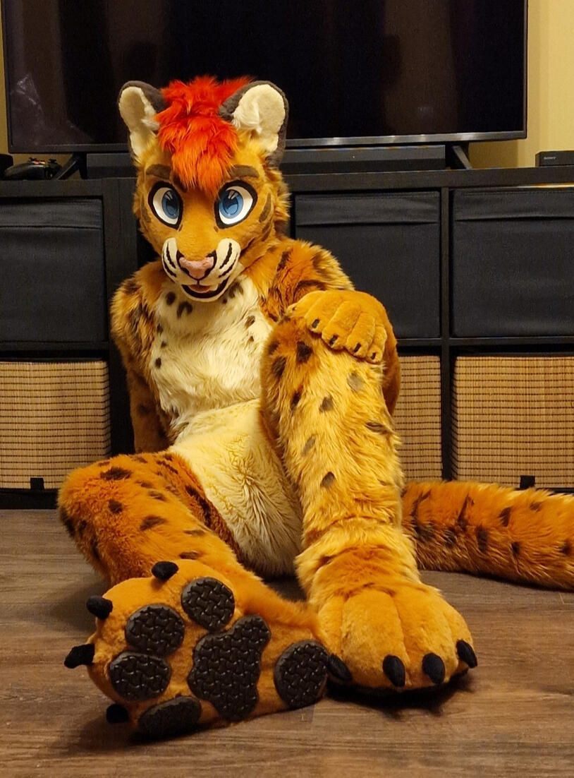 Tarrik_2025 Commission