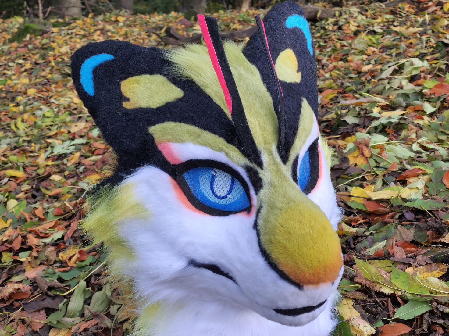 Tigerbee Premade