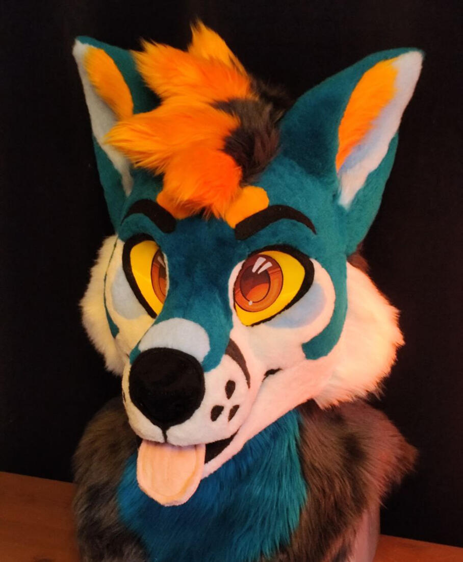 2024/5 Vector Fullsuit