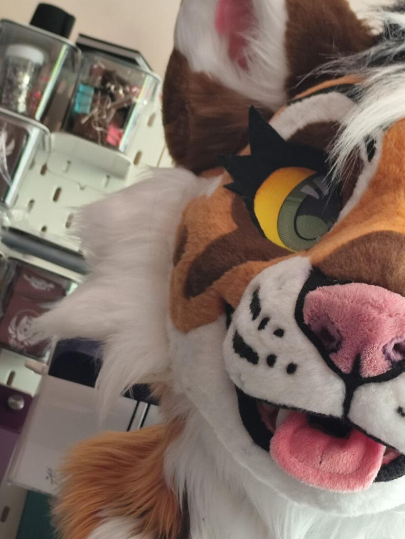 WIP of EF29 premade