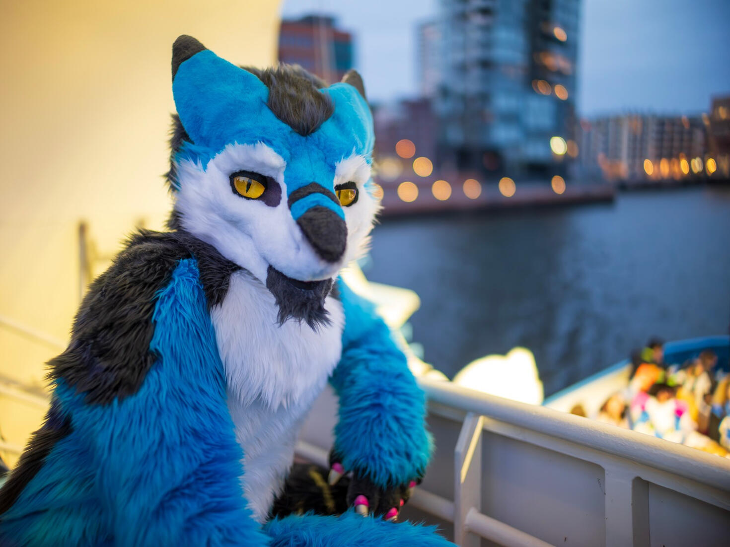 Sergal- 2023+2024 // Pic @CaptainChaotika